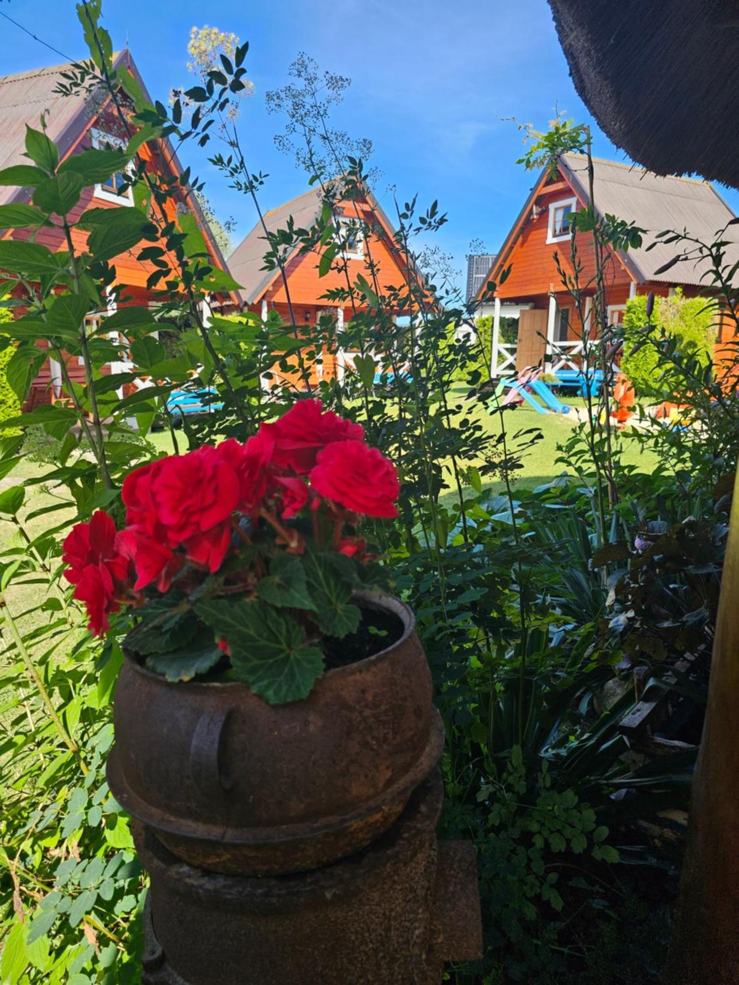Zagroda Sarbinowo Exteriér fotografie